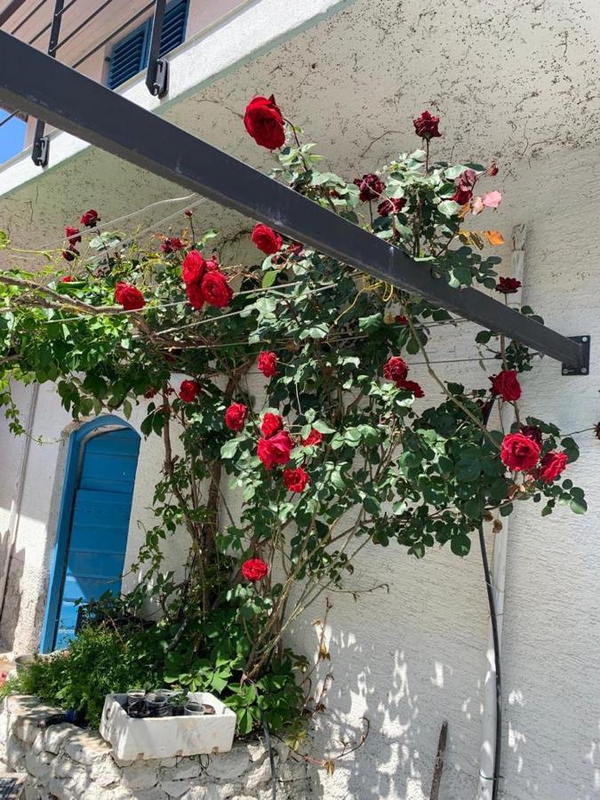 ペトルチャネ Dalmatian Rustic Houseヴィラ エクステリア 写真
